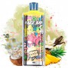 Razz Bar 60K Coco Loco | Vaper Desechable