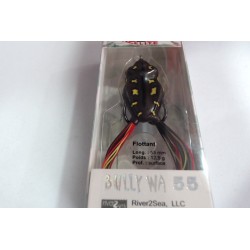 RANA BULLY WA 55